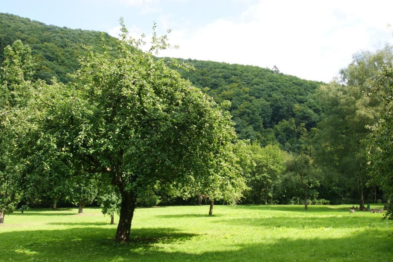 Bertricher Hof Hotel Garni Bad Bertrich Esterno foto